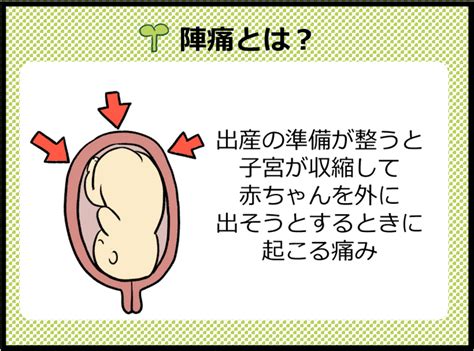 陣痛 位置|【医師監修】陣痛の始まりってどんな痛み？ 前兆。